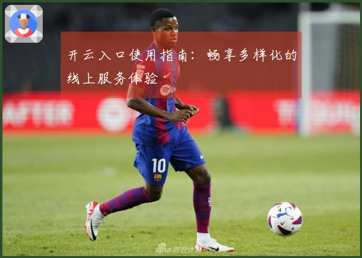 开云入口使用指南：畅享多样化的线上服务体验